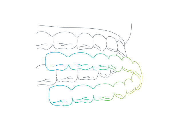 elainer (1).png