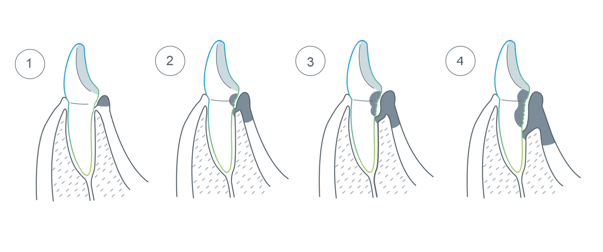 Frame 2087327487 (1).png