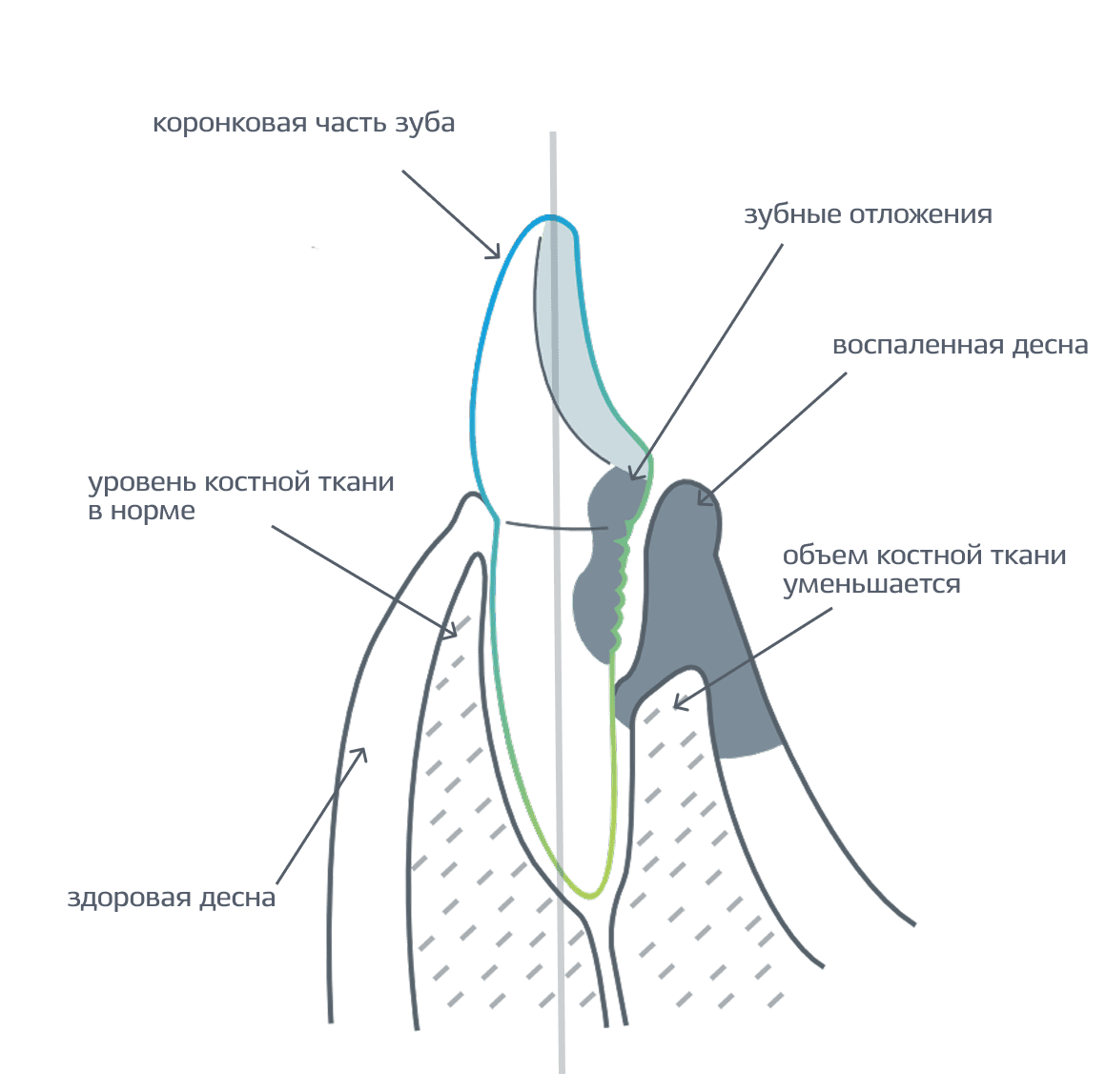 Frame 2087327486 (2) (1).png